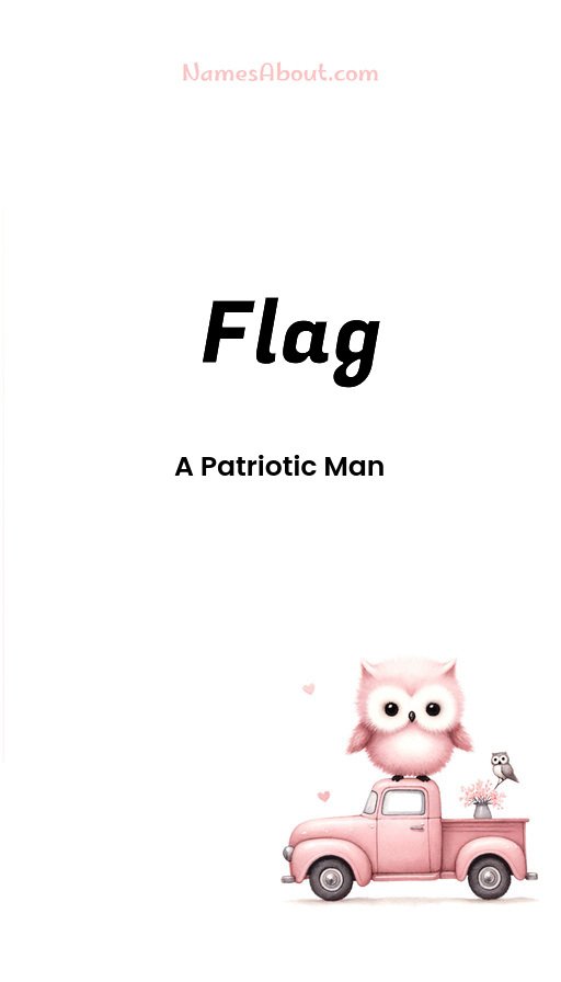 Meaning of Flag