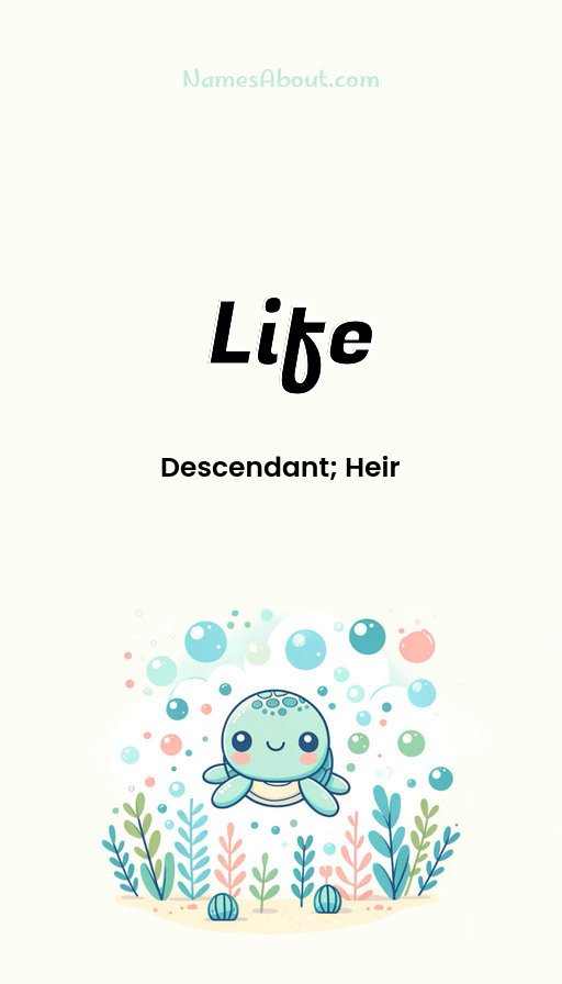 Meaning of Life