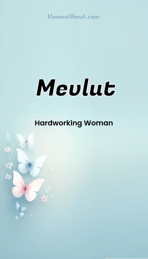 Meaning of Mevlut