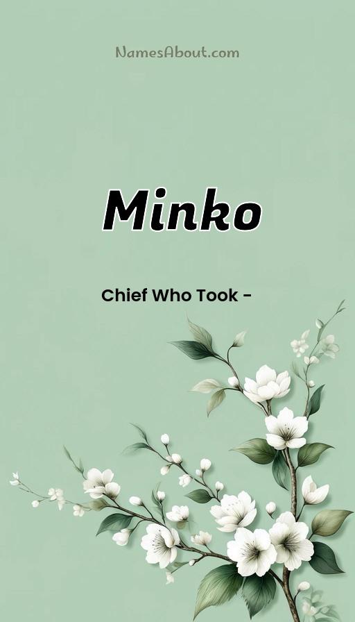 Minko name and meaning