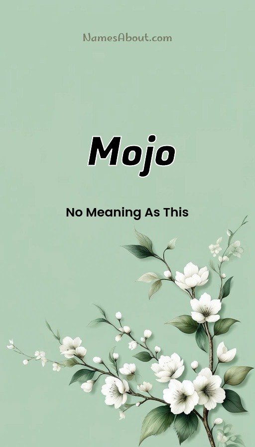 Meaning of Mojo