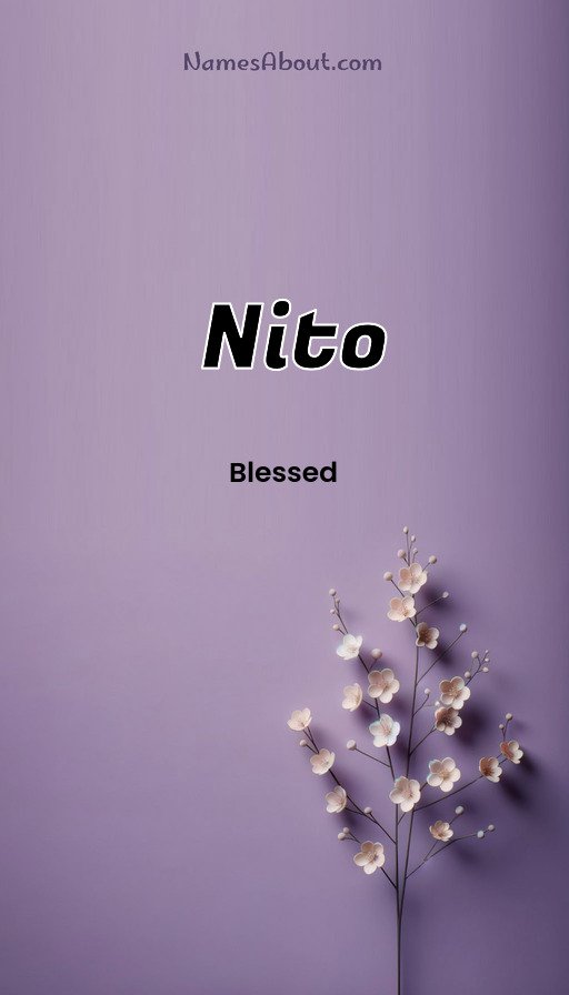 Meaning of Nito