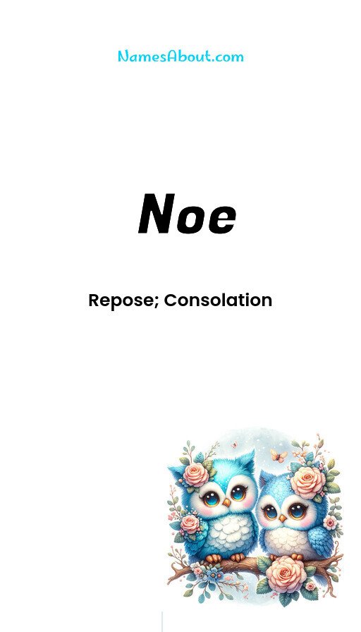 Meaning of Noe