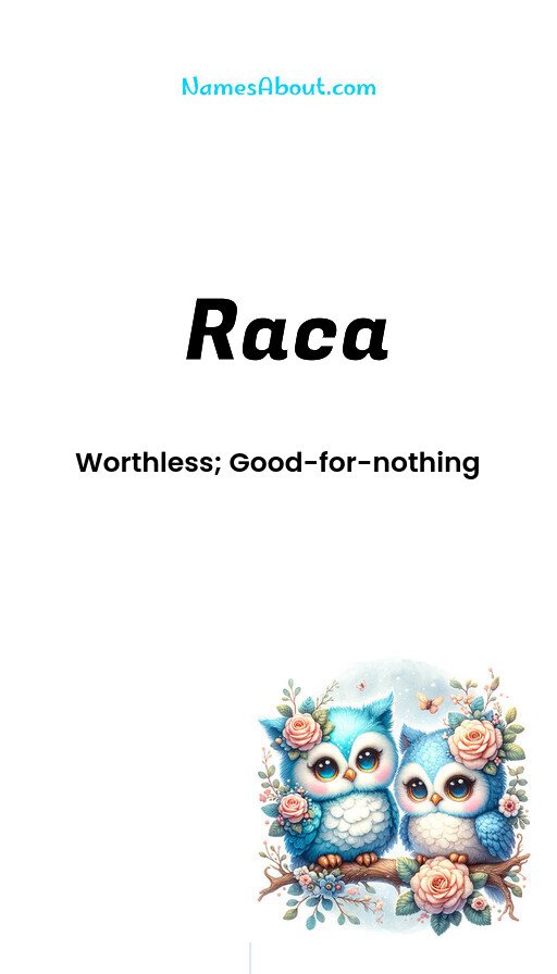 Meaning of Raca