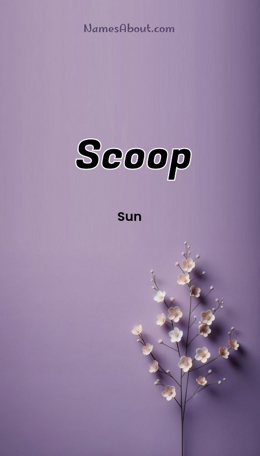 Meaning of Scoop