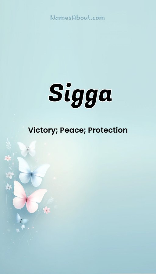 Meaning of Sigga