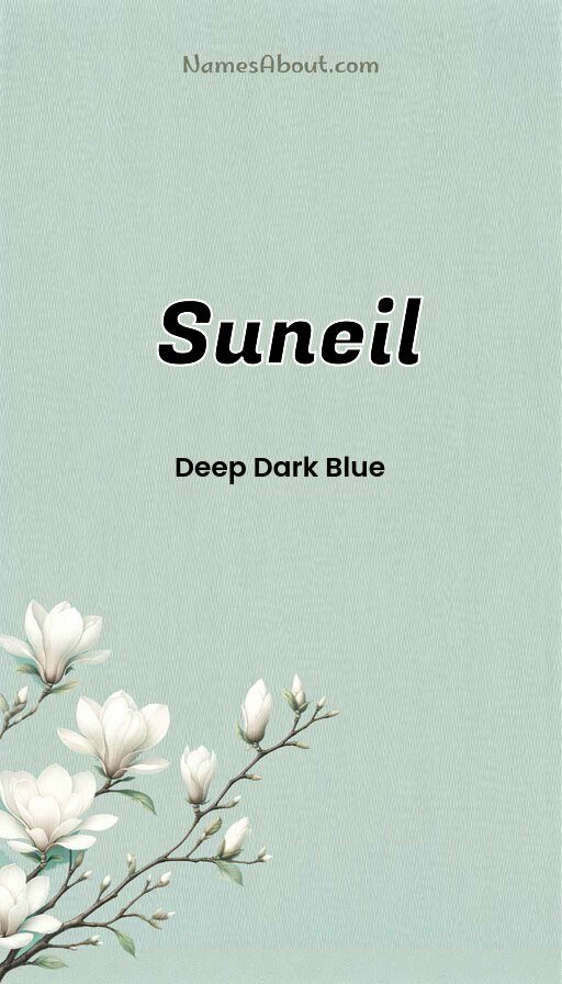 Meaning of Suneil