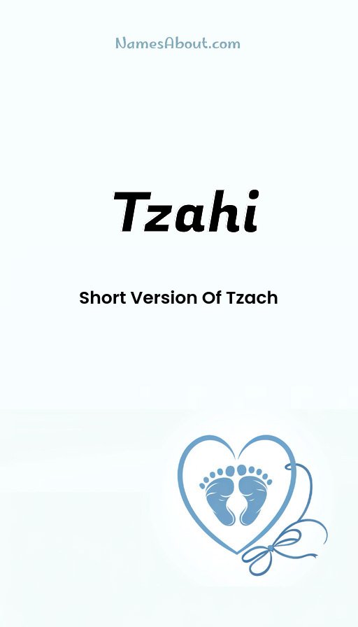 Meaning of Tzahi