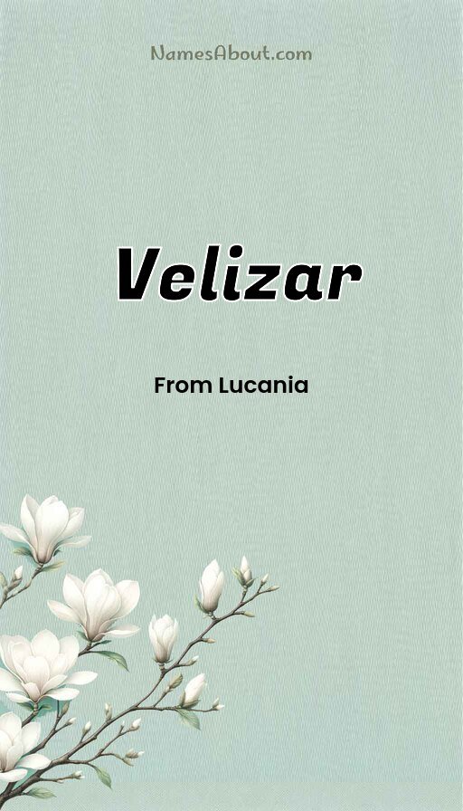 Meaning of Velizar