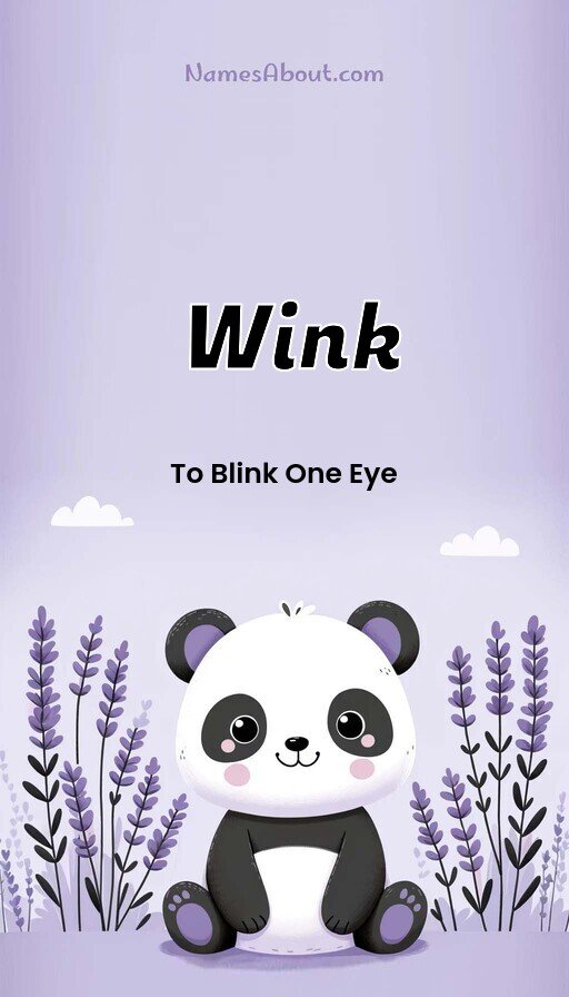 Meaning of Wink