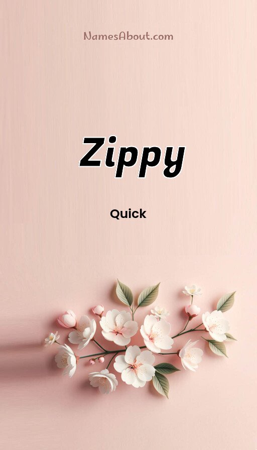 Meaning of Zippy