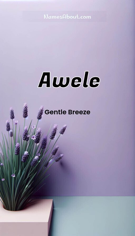 Meaning of Awele