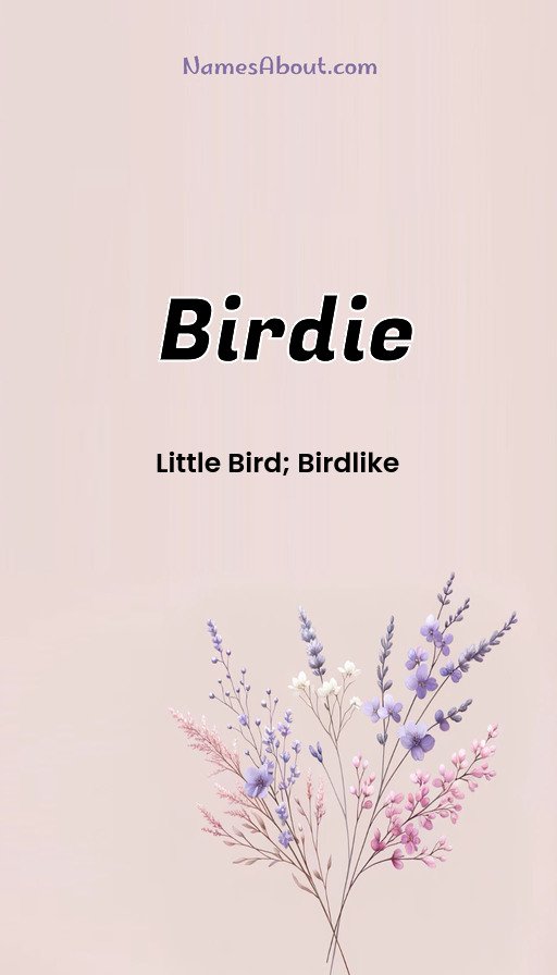 Meaning of Birdie