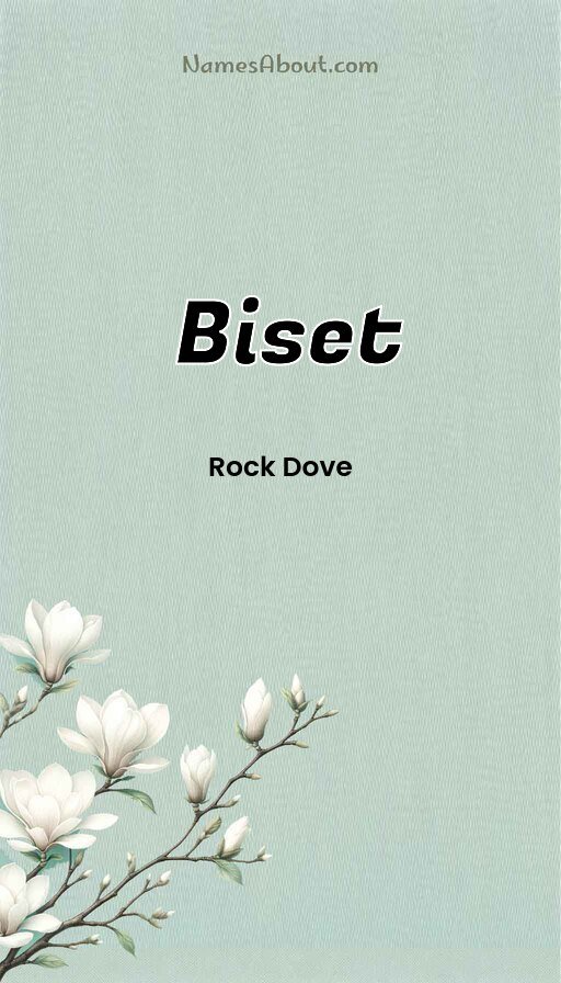 Meaning of Biset