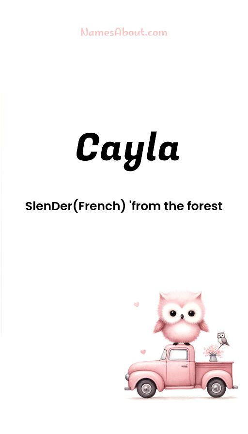 Illustration of Cayla