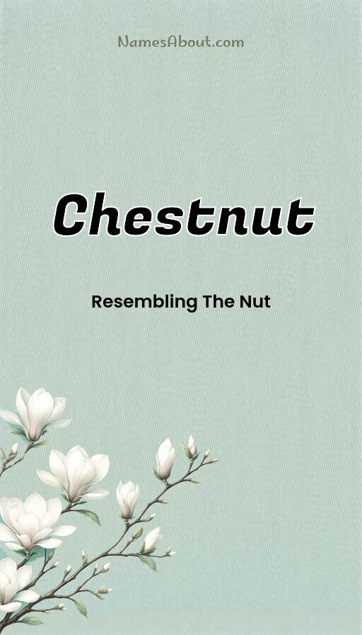 Meaning of Chestnut