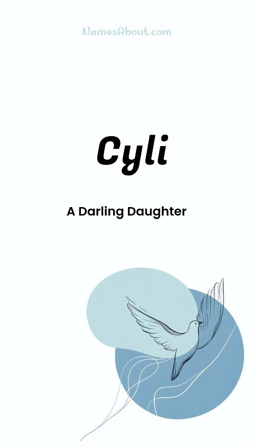 Meaning of Cyli