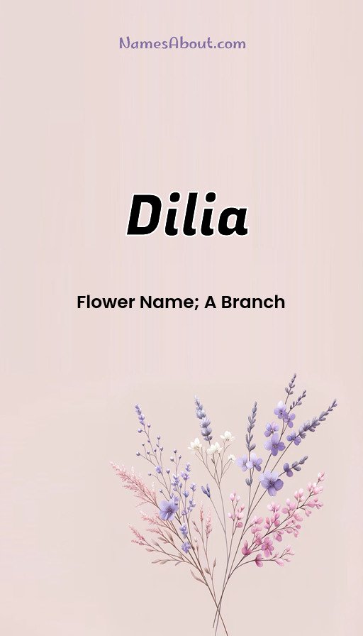 Meaning of Dilia