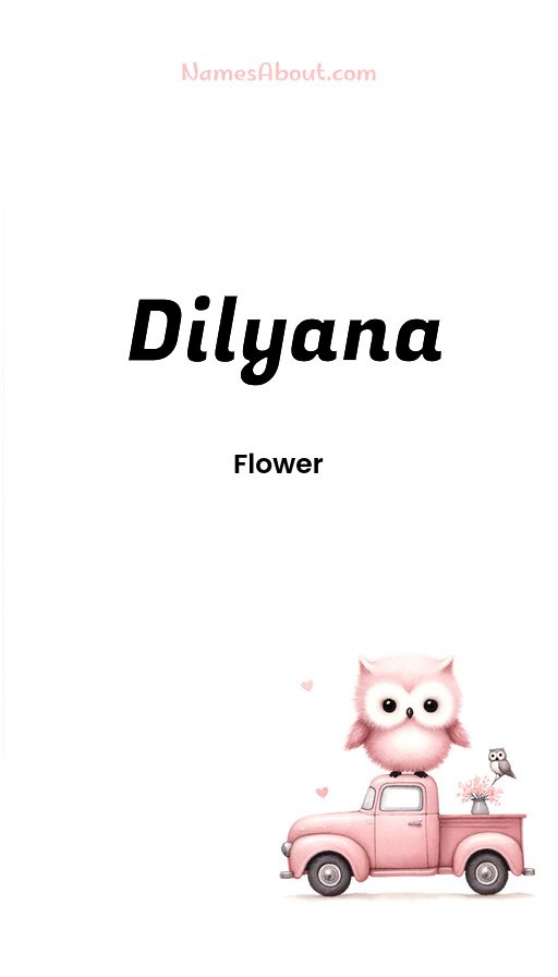 Meaning of Dilyana