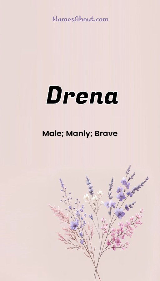 Meaning of Drena