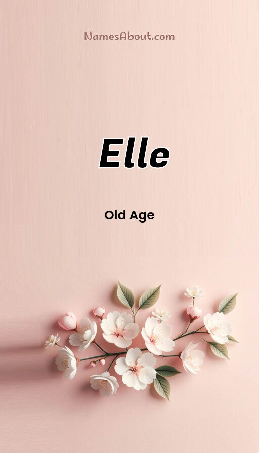 Meaning of Elle