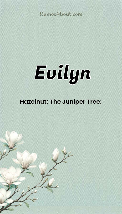 Meaning of Evilyn