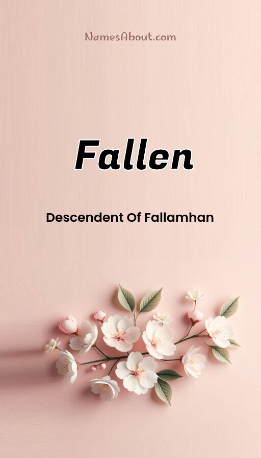 Meaning of Fallen