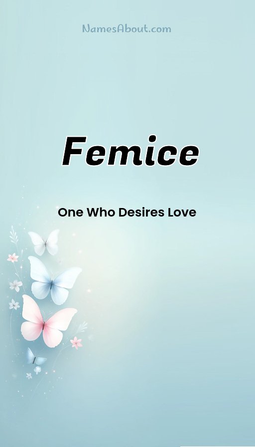 Meaning of Femice