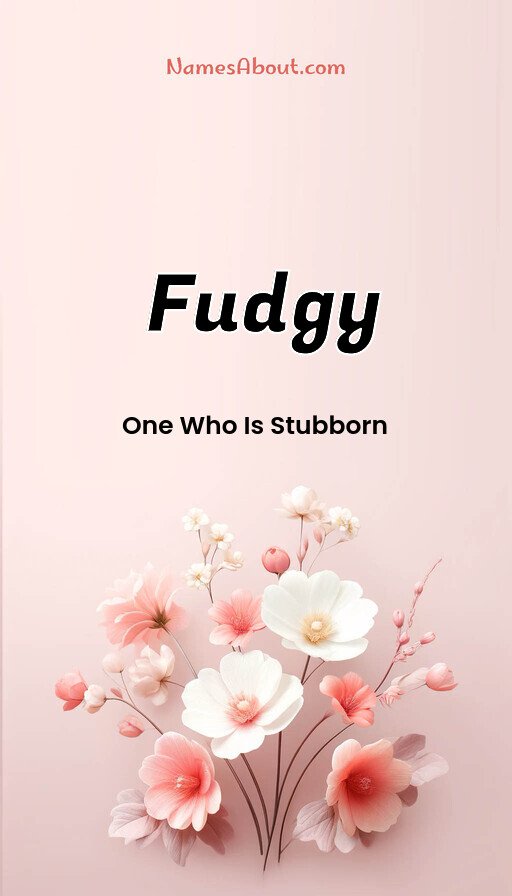Meaning of Fudgy