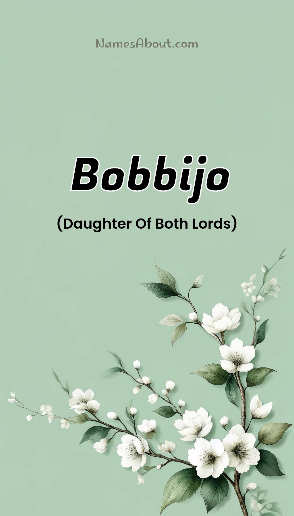 Bobbijo name and meaning