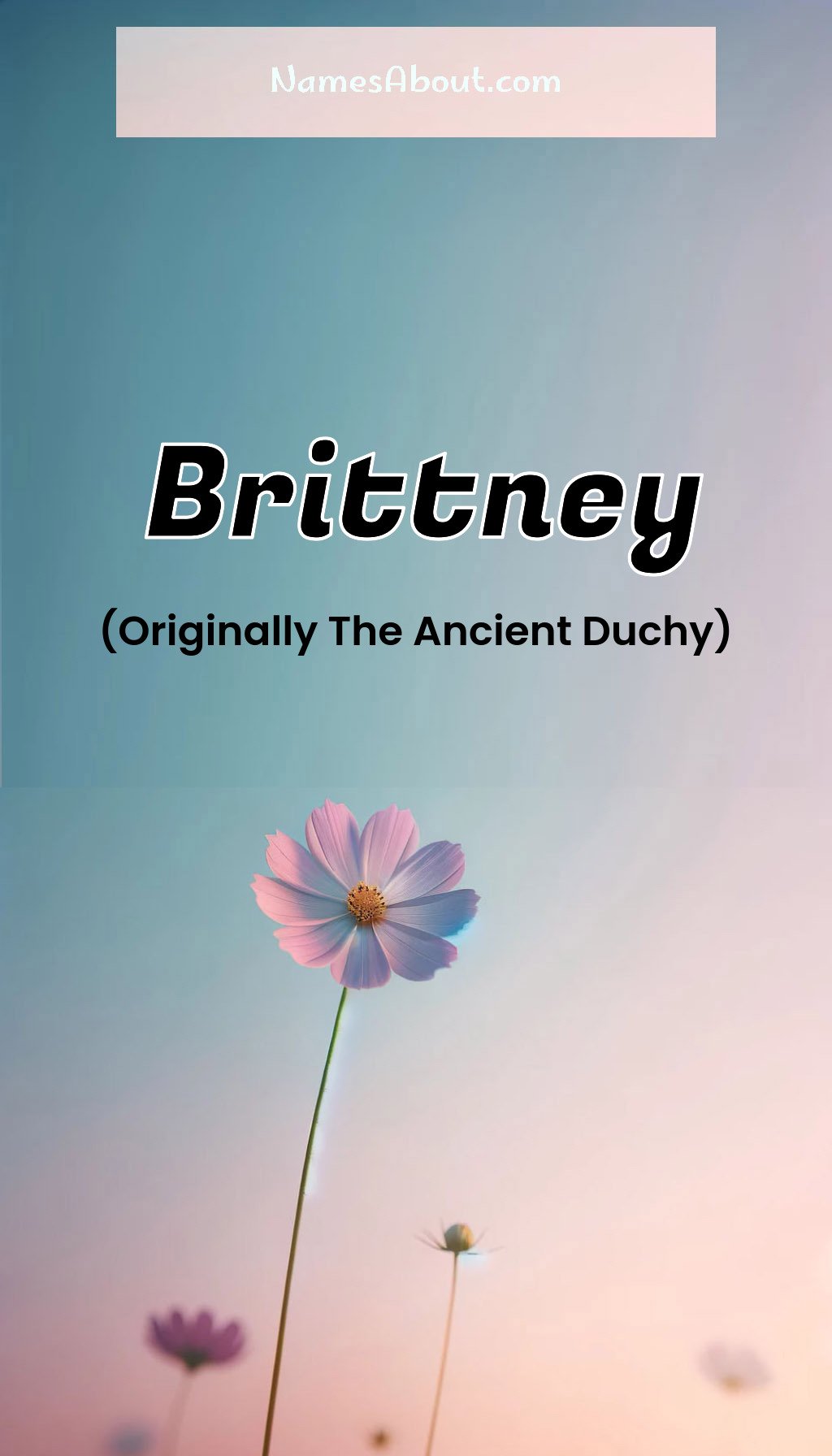 Brittney name and meaning