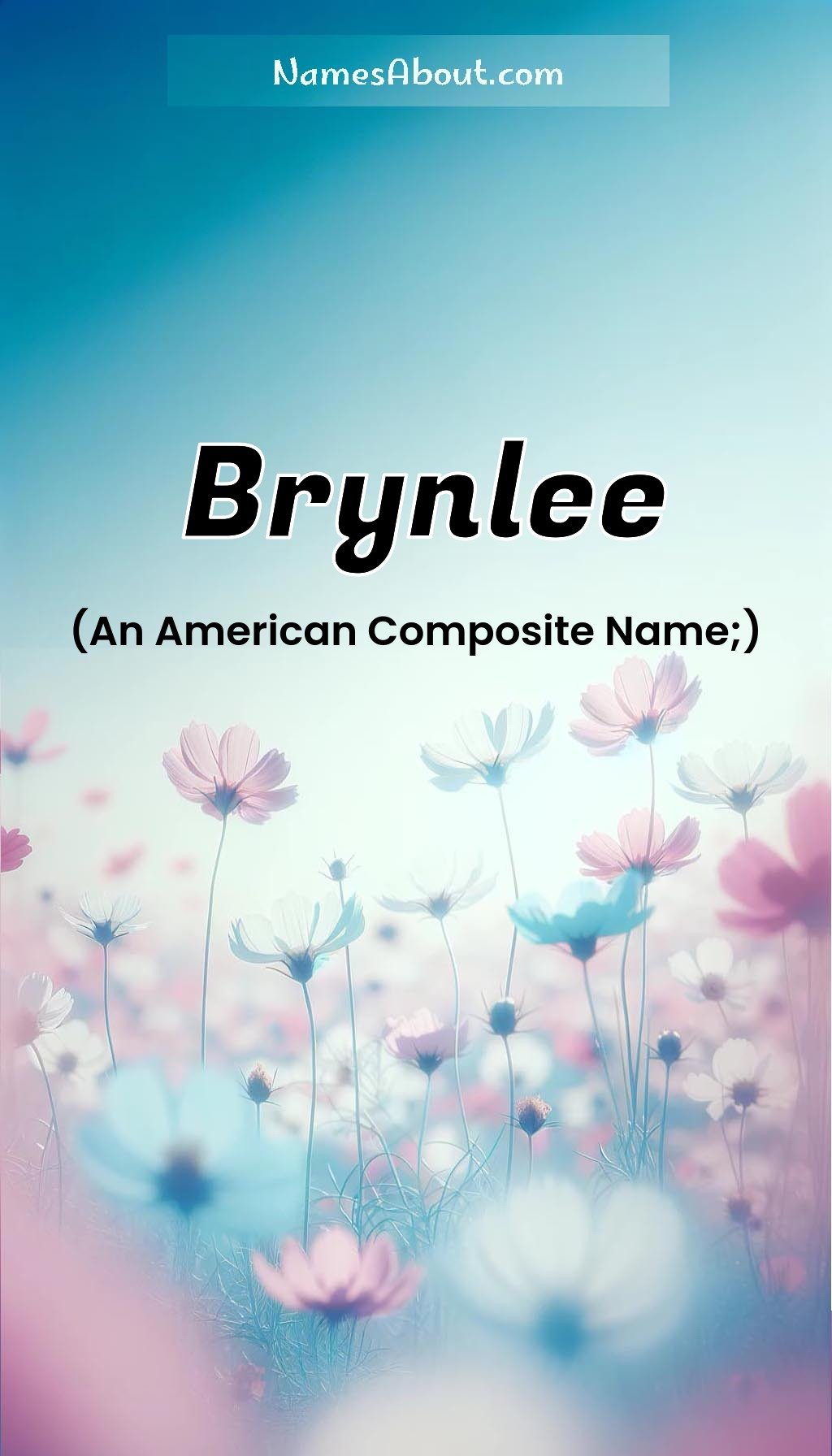 Brynlee name and meaning