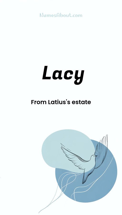 Meaning of Lacy