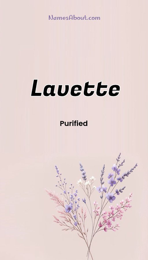 Meaning of Lavette