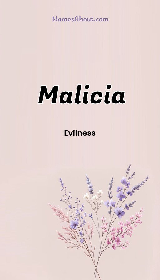 Meaning of Malicia