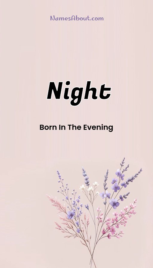 Meaning of Night