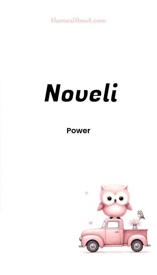 Meaning of Noveli