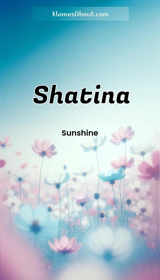 Meaning of Shatina