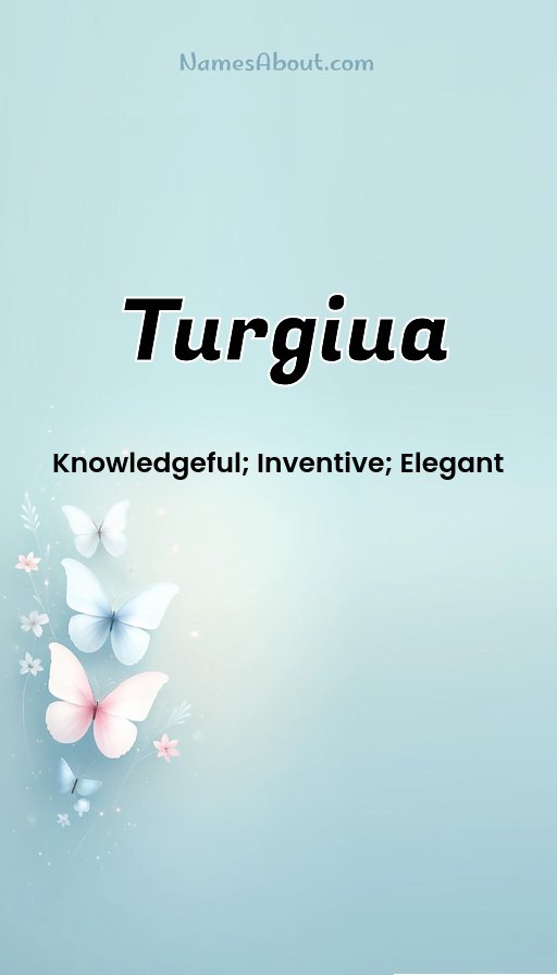 Meaning of Turgiua
