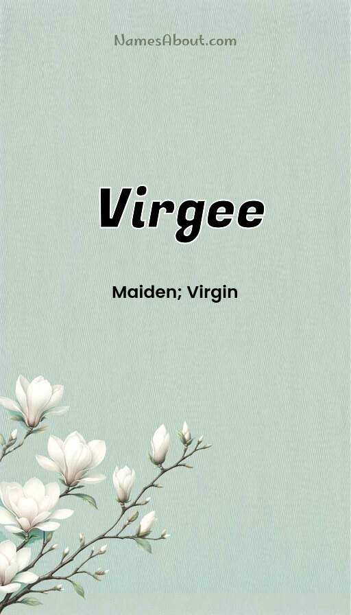 Meaning of Virgee