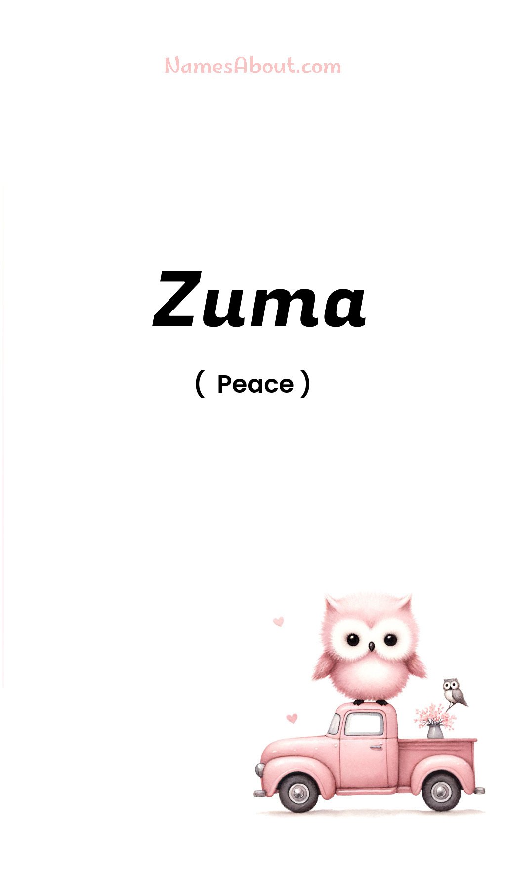 Zuma name and meaning