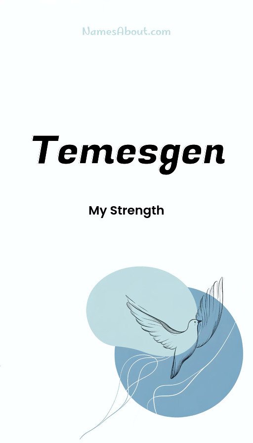 Meaning of Temesgen