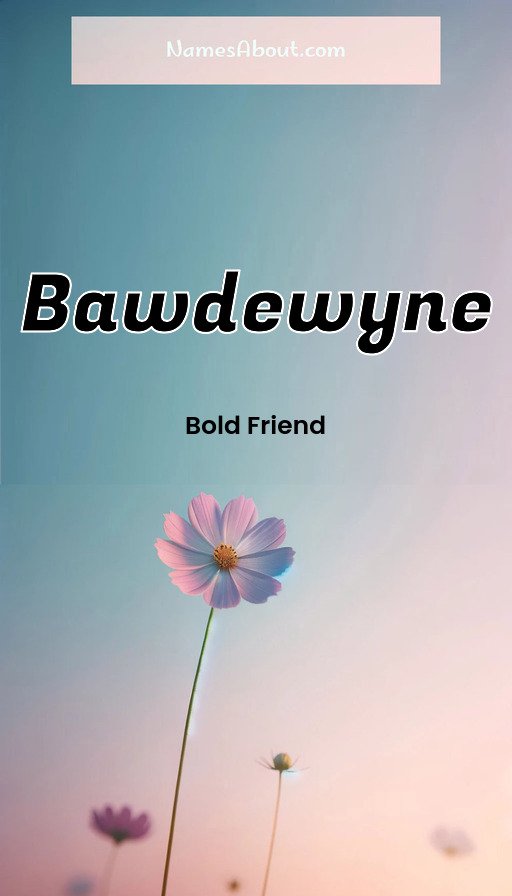 Meaning of Bawdewyne