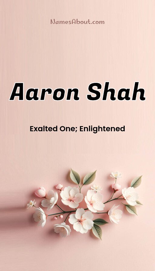 Meaning of Aaron Shah