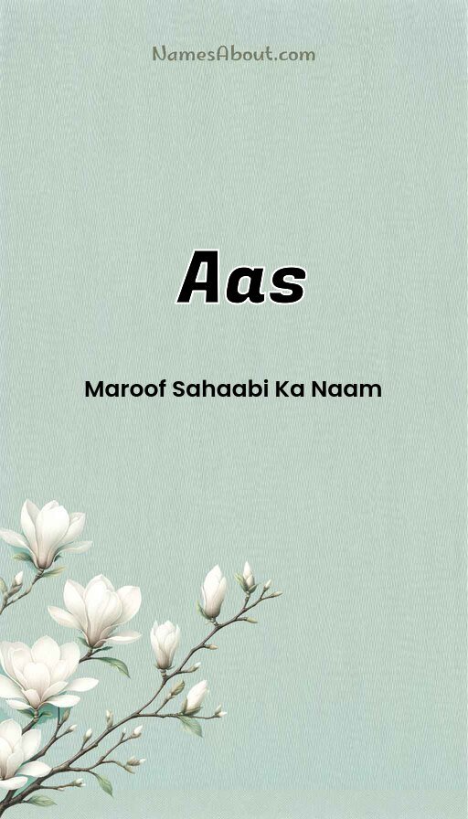 Meaning of Aas