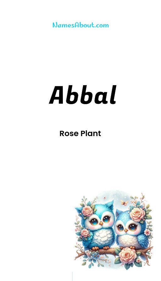 Meaning of Abbal