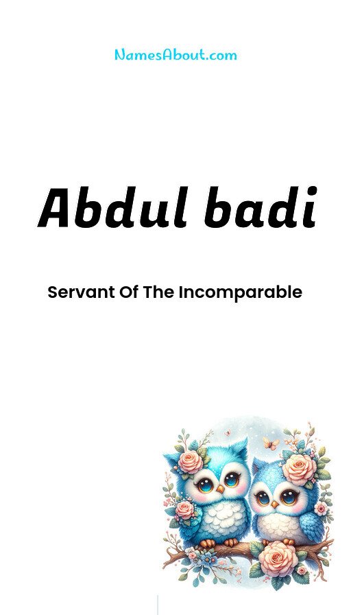 Meaning of Abdul badi
