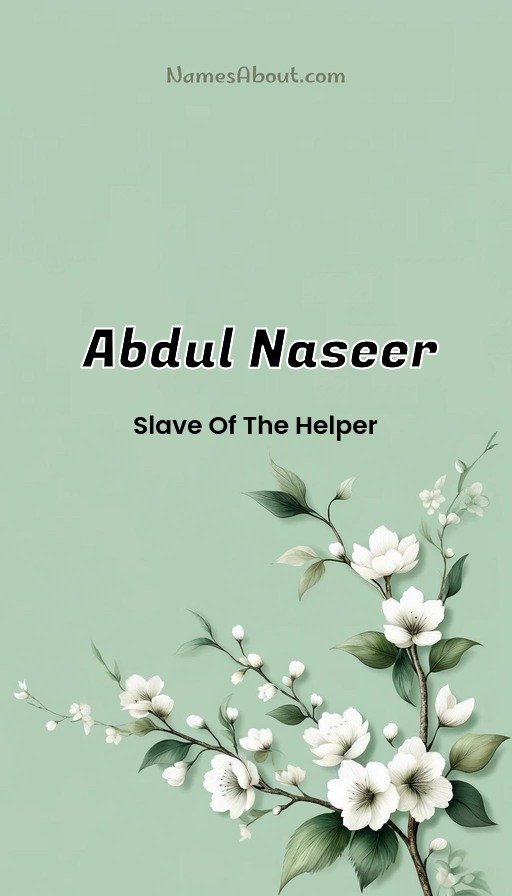 Meaning of Abdul naseer