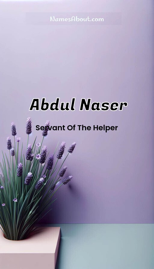Meaning of Abdul naser