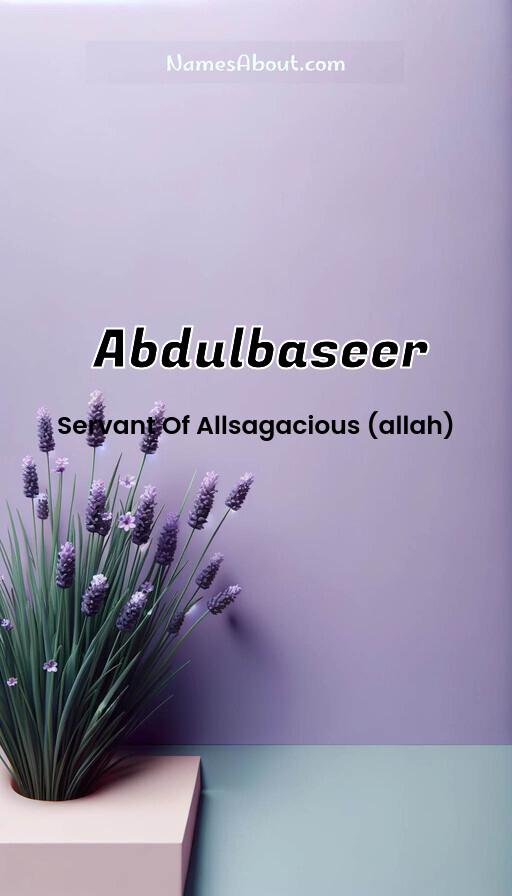 Abdulbaseer name and meaning